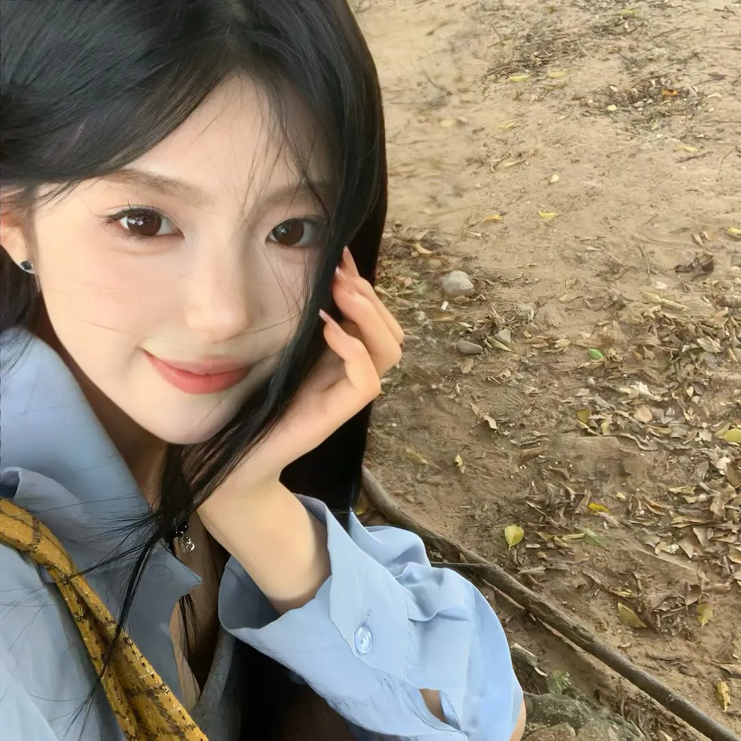 当猪起飞