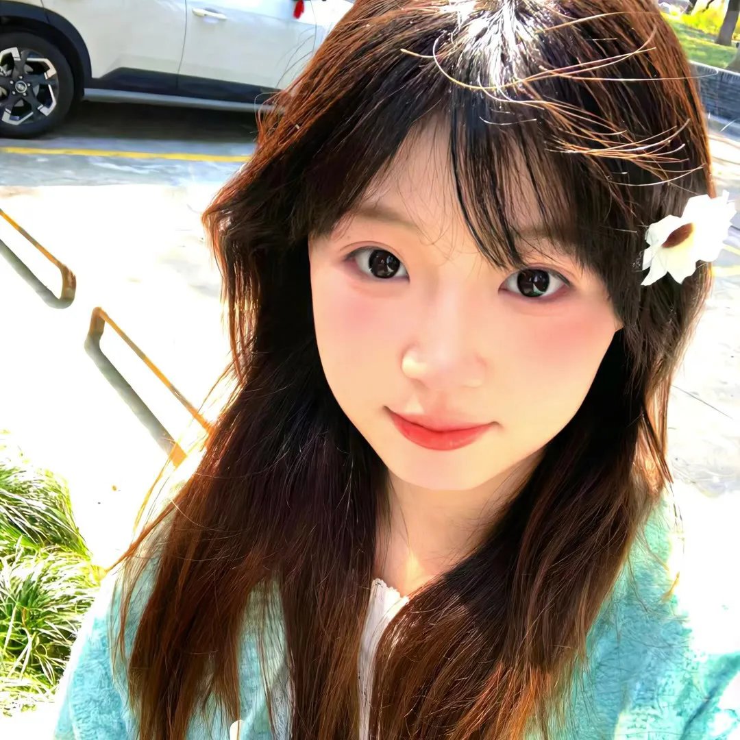 希德尼娅的骑士