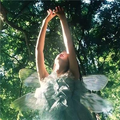 双重幻想